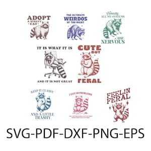 vintage Funny raton laveur SVG & PNG Bundle | Designs rétro originaux de raton laveur pour l'artisanat, paquet de png de raton laveur chaotique, paquet de raton laveur Svg
