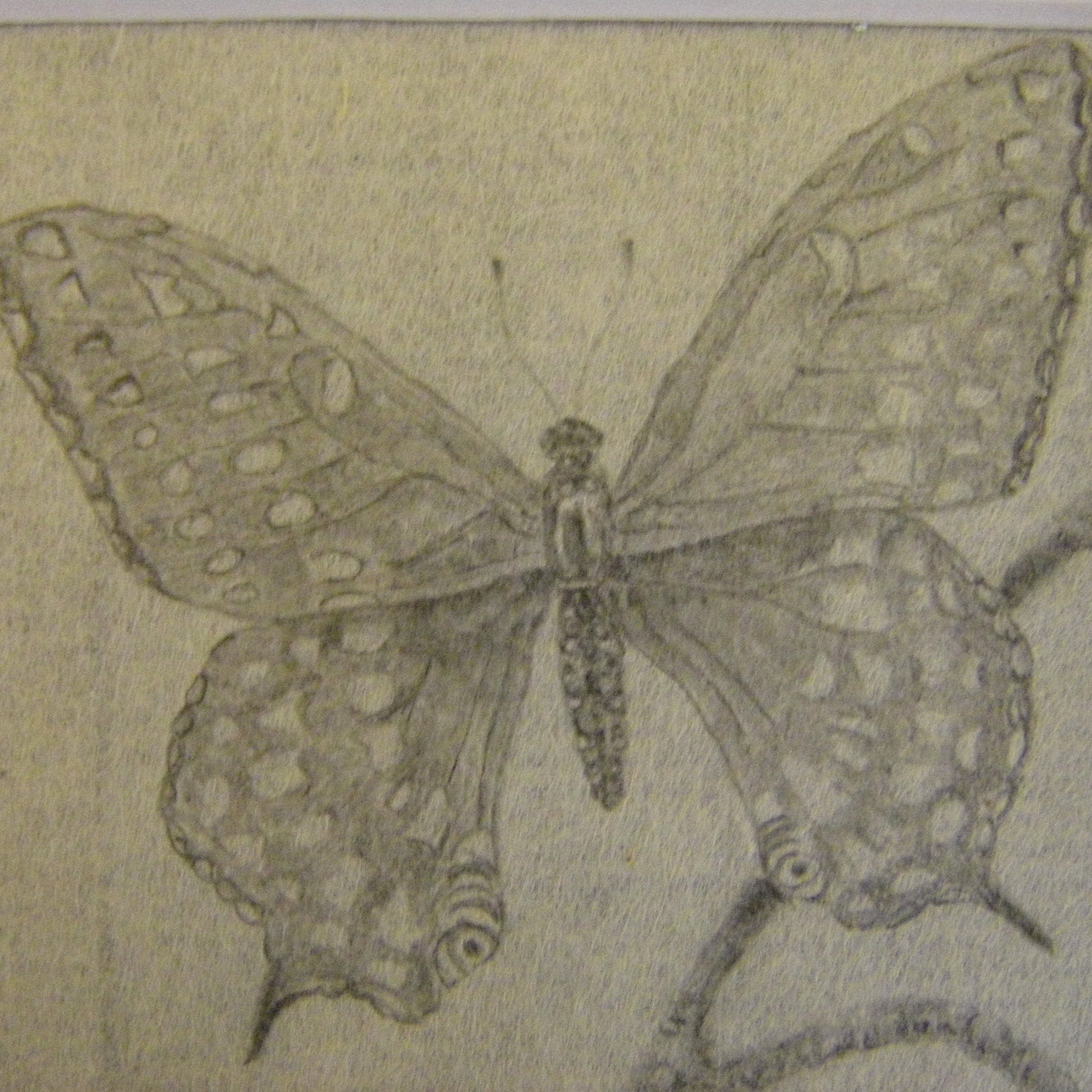 Flower art 3 piece original graphite drawing Etsy