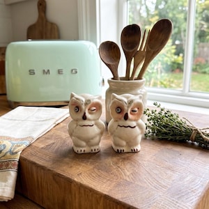 May include: Two ceramic owl figurines with cream-colored bodies, brown painted details, and winking expressions. The owls are positioned side-by-side, featuring textured feathers and distinct facial features, serving as decorative kitchen accents.