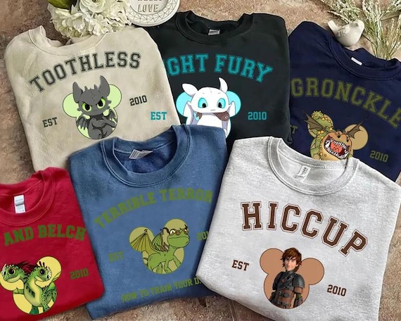 Disney How to Train Your Dragon Est 2010 Shirt, Disney Night Fury Light Fury Astrid Hiccup Tee, Magic Kingdom, Disneyland Matching Shirts