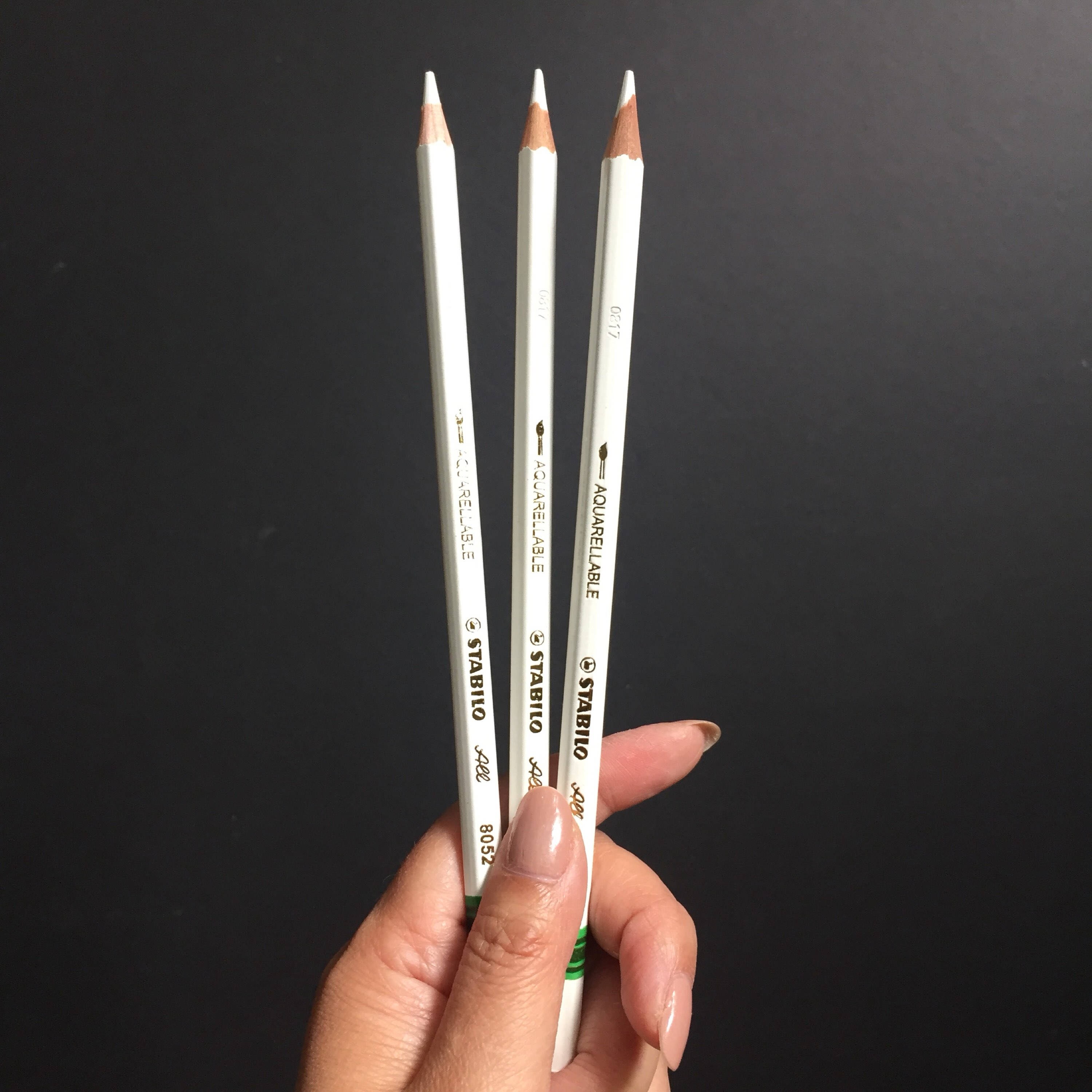 1 pc Stabilo All Water Soluble Pencil White Etsy