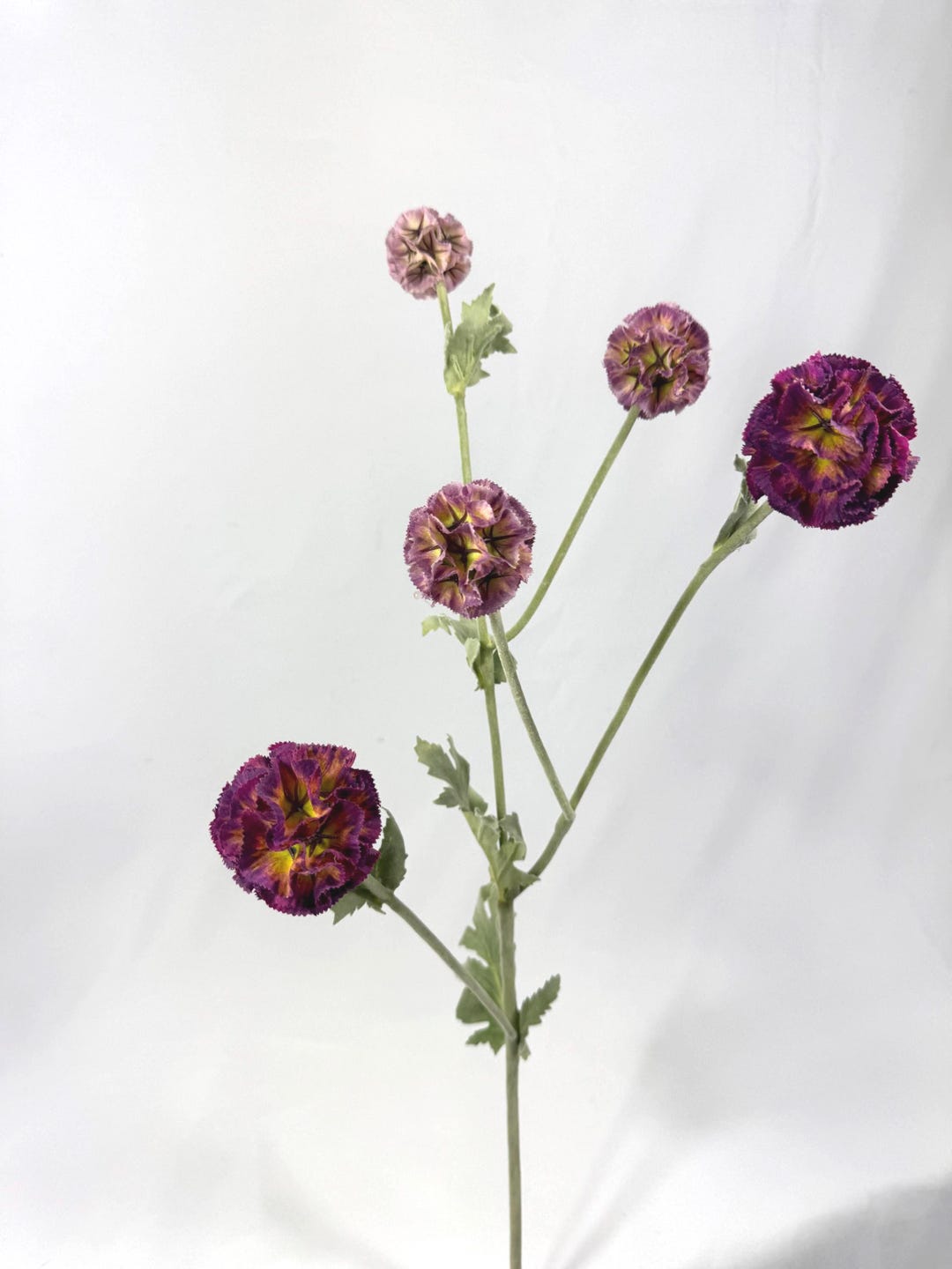 Plum Rannuculus Plum Ranunculus Stem: Purple Faux Flower, Wedding Bouquet - Etsy UK