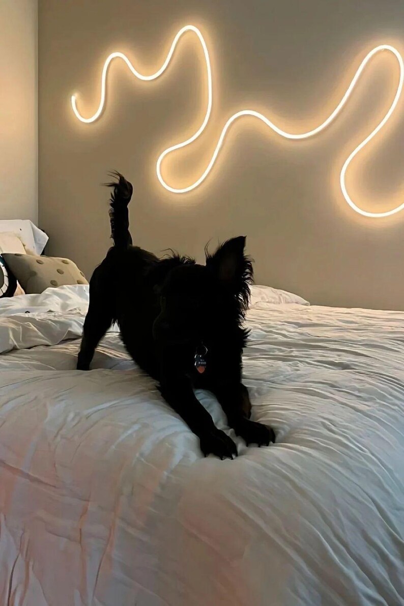 May include: A black dog is lying on a white bed with a white neon light fixture on the wall behind it.