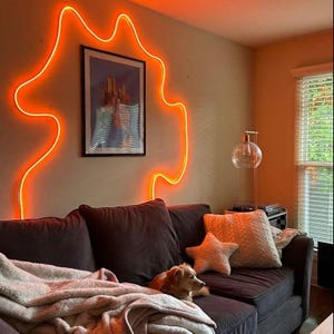 May include: A living room with a couch, a dog, and a neon orange light shaped like a cloud on the wall.