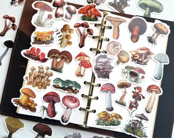 40pcs Cute Mushroom Vinyl Sticker Pack, Scrapbooking