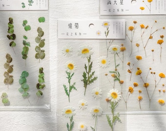 Transparent Floral Stickers - Daisy, Eucalyptus, Fern, Clover - PET Journal Embellishments
