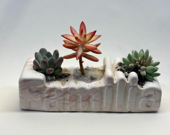 Handmade cement planter with succulents | Decorative rectangular planter | Minimalist natural decor