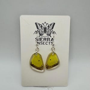 May include: A pair of earrings featuring yellow butterfly wing segments encased in clear resin. The earrings hang from silver-colored hooks. The backing card has a butterfly logo and the text "SIERRA INSECTS".