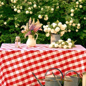 May include: A red and white checkered tablecloth with a bouquet of purple and white flowers in a white pitcher, two glass jars, and two watering cans on a white table.
