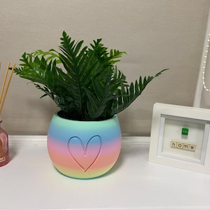 Heart Plant Pot