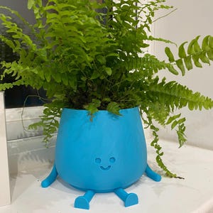 Happy Plant Pot, House Warming Gift