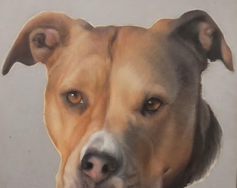 Custom Pet Portrait