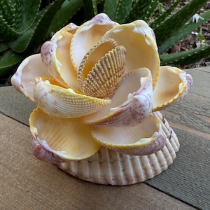 May include: A decorative flower sculpture made from seashells. The sculpture has a layered design with yellow, cream, and purple tones. The base is a large, ridged shell, and the petals are formed from open shells.