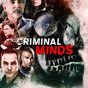 Criminal Minds the Complete series DVD