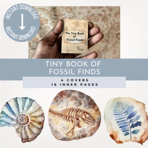 Fossils Fun Facts Mini Book Kit,  Fossil Facts Printable Tiny Book Kit, Miniature Books, Junk Journal Ephemera, Printable Scrapbook Ephemera