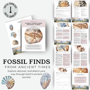 Fossil Hunting Guide Book, Guide To Fossil Hunting in The UK, Introduction To Fossils, Fossil Hunting For Kids, Tech Free Outdoor Activity