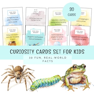 Schede con curiosità per bambini, Pacchetto di carte sulla curiosità, Mini schede con curiosità su natura e meraviglie, Kit di strumenti di apprendimento, Tempo libero senza tecnologia, Mini schede per il pranzo al sacco