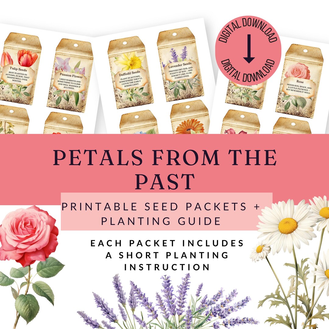 Vegetable Seed Notes Printable Seed Packets With Growing Notes & Uses, Garden Ephemera ...