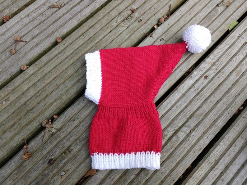Greyhound /& Galgo Santa Hat