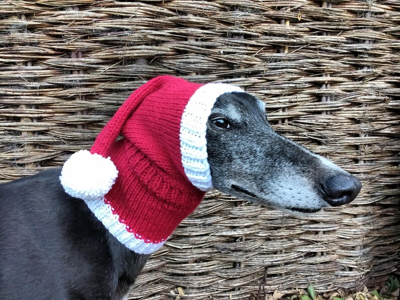 Greyhound /& Galgo Santa Hat