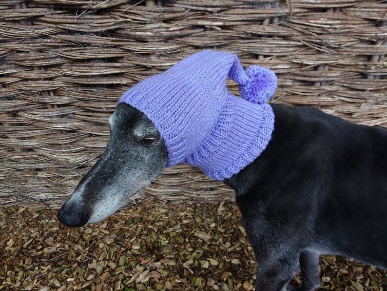 Greyhound /& Galgo Pixie Hat