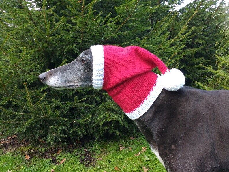 Greyhound /& Galgo Santa Hat