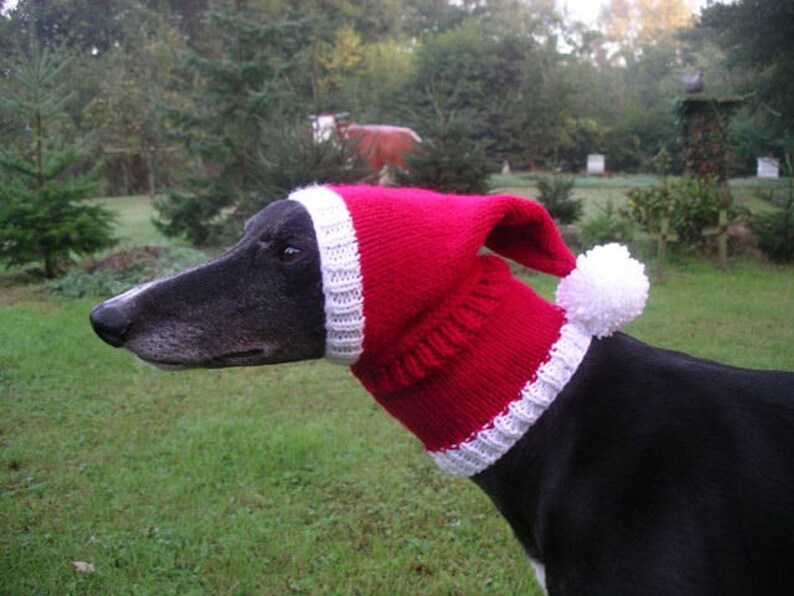 Greyhound /& Galgo Santa Hat