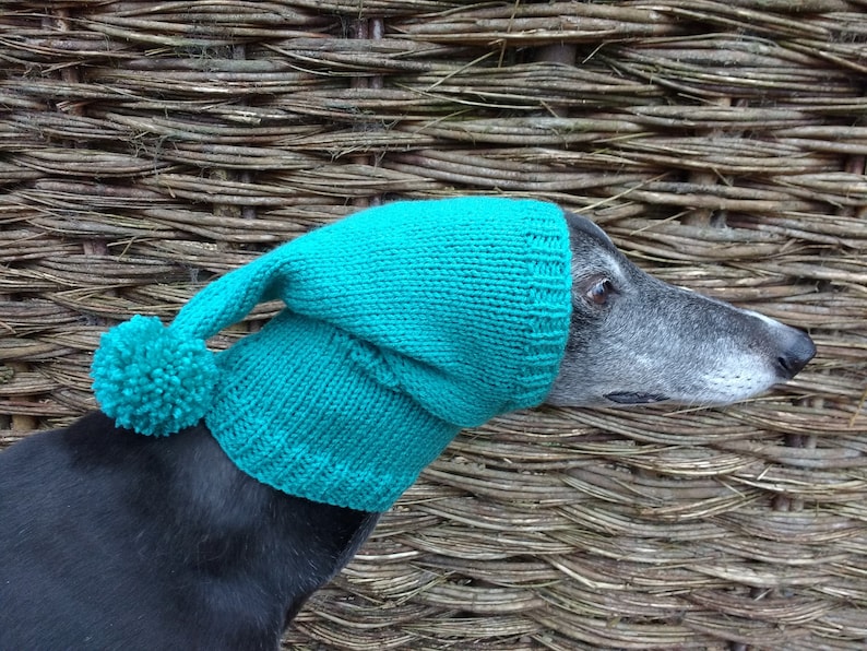Greyhound /& Galgo Pixie Hat