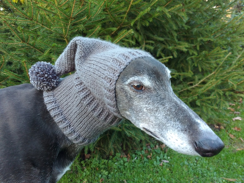 Greyhound /& Galgo Pixie Hat
