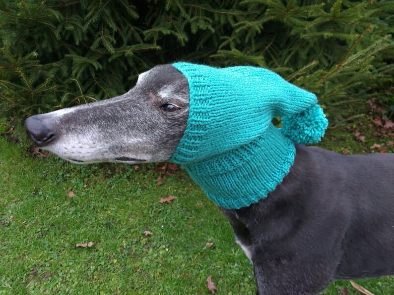 Greyhound /& Galgo Pixie Hat