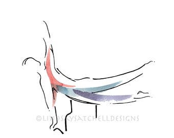 Side Sit-up on the Chair | Pilates Art Print, Pilates Gift, Pilates Studio Decor, Inspiration Art, Gifts, Pilates Inspiration, Unique Gifts