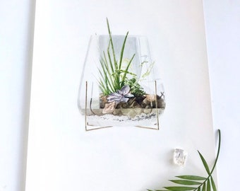 Terrarium Watercolor Print - "Open Terrarium on Brass Stand" | succulents, nature gift, giclee