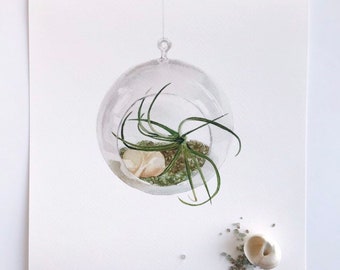 Terrarium Hanging Glass Round watercolor print | nature gift, plants, succulents,