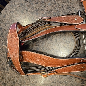 EXTRA SPECIAL HORSE  - Double stitched leather wide browband headstall bridle and breast collar set