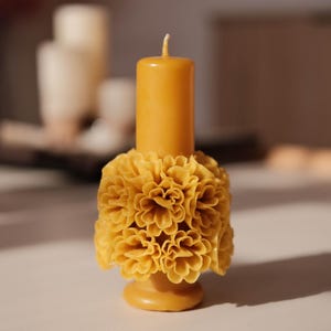 Vela de concha 100% de cera de abeja, /cirio escamado natural/ vela tradicional mexicana