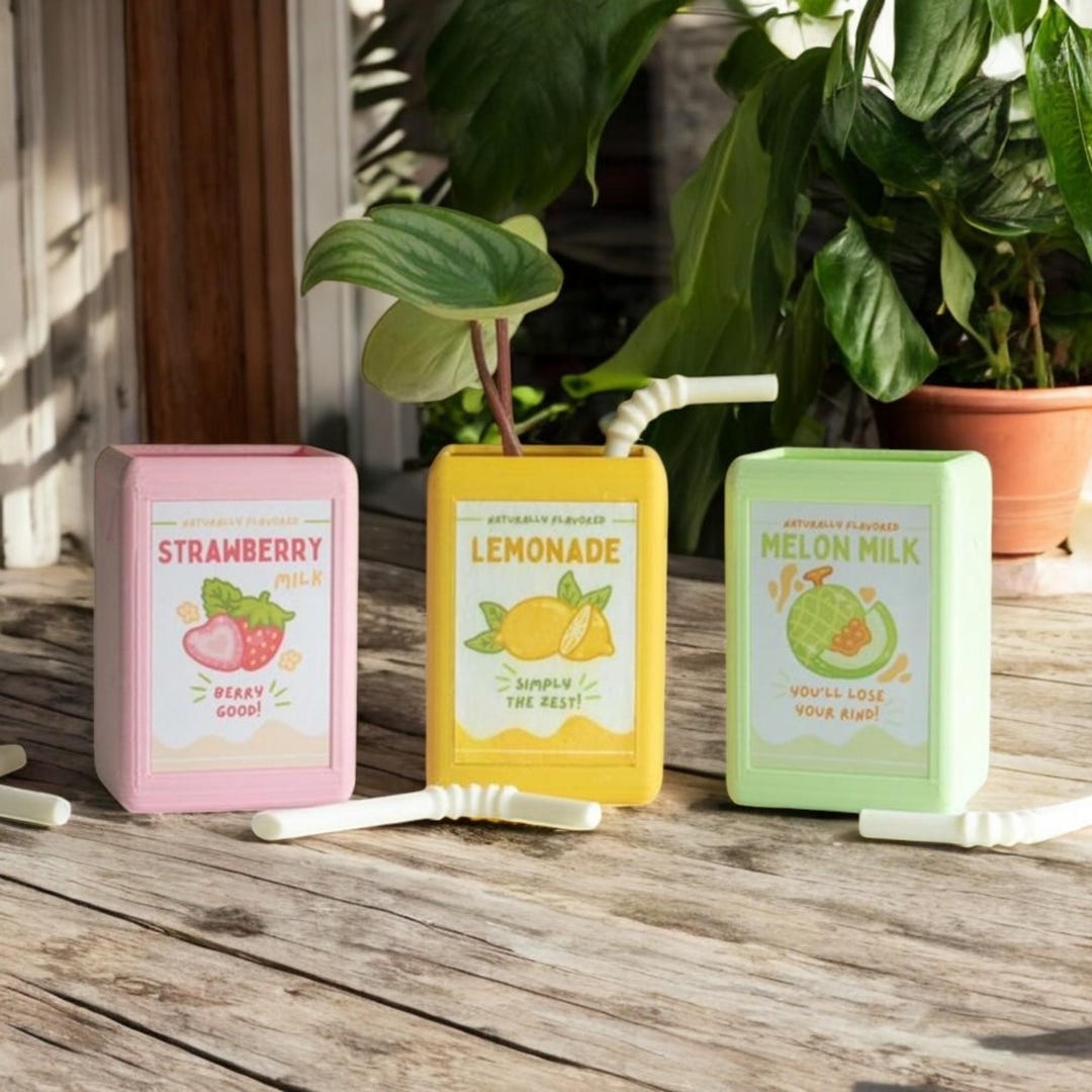 Juice Box Flower Pot | Cute Milk Vase Planter | Fun Decorative Pen ...