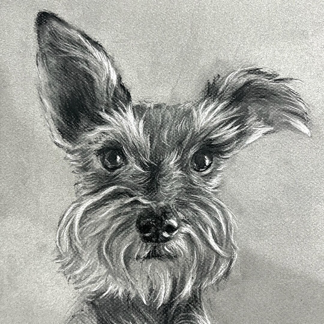 Custom Charcoal Pet Portrait | Personalized Pet Drawing | Hand-Drawn Pet Memorial Gift | Dog, Cat, Any Animal | Custom Pet Artwork