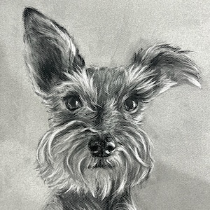 Custom Charcoal Pet Portrait | Personalized Pet Drawing | Hand-Drawn Pet Memorial Gift | Dog, Cat, Any Animal | Custom Pet Artwork