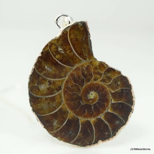 24 Inch Silver Cable Chain Ammonite Necklace, Large Ammonite Fossil Pendant, Sea Life Beach Jewelry