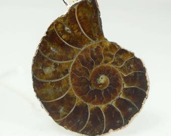 24 Inch Silver Cable Chain Ammonite Necklace, Large Ammonite Fossil Pendant, Sea Life Beach Jewelry