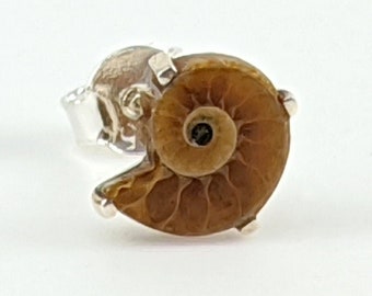 Small Ammonite Stud Earrings, 925 Sterling Silver Ammonite Fossil Minimalist Nature Jewelry