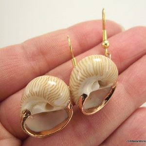 Gold Snail Shell Earrings, Organic Beach Jewelry Gold Earrings image 3