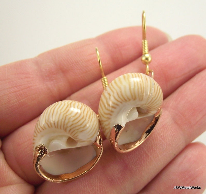 Gold Snail Shell Earrings, Organic Beach Jewelry Gold Earrings image 3