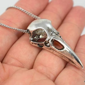 Unisex Antiqued Silver Raven Skull Necklace, Stainless Cable Necklace, Silver Finished Bird Skull Pendant, Gift for Him or Her