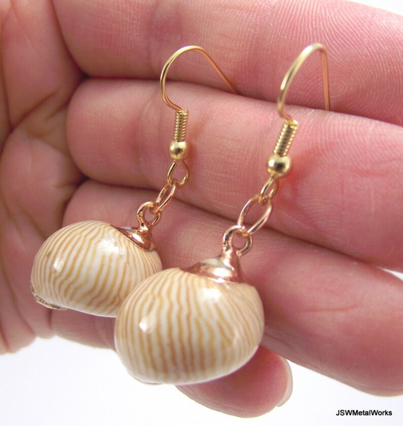 Gold Snail Shell Earrings Organic Beach Jewelry Gold Earrings Etsy
