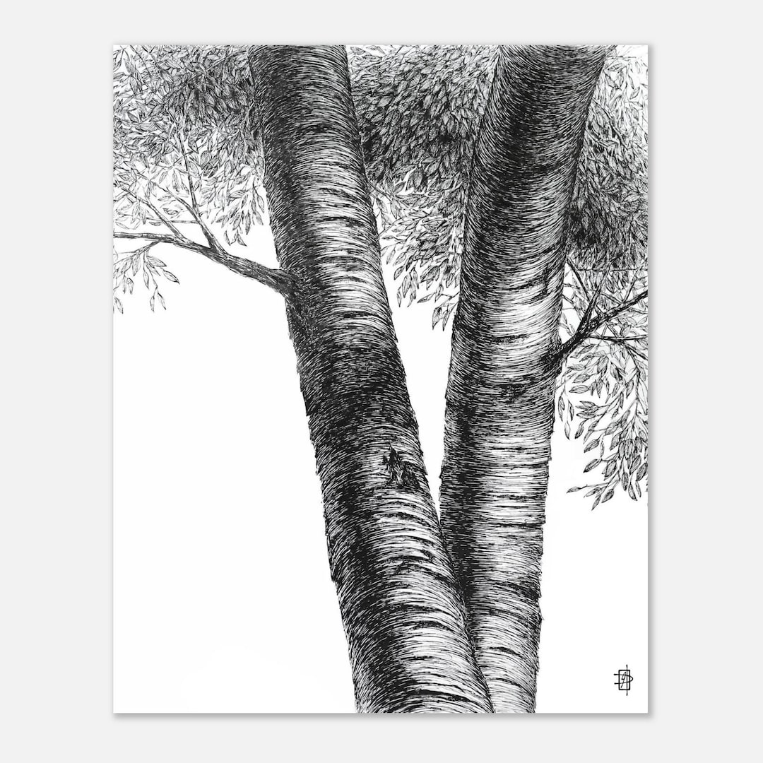 Birch Tree Art Print: Pen and Ink Drawing - Etsy