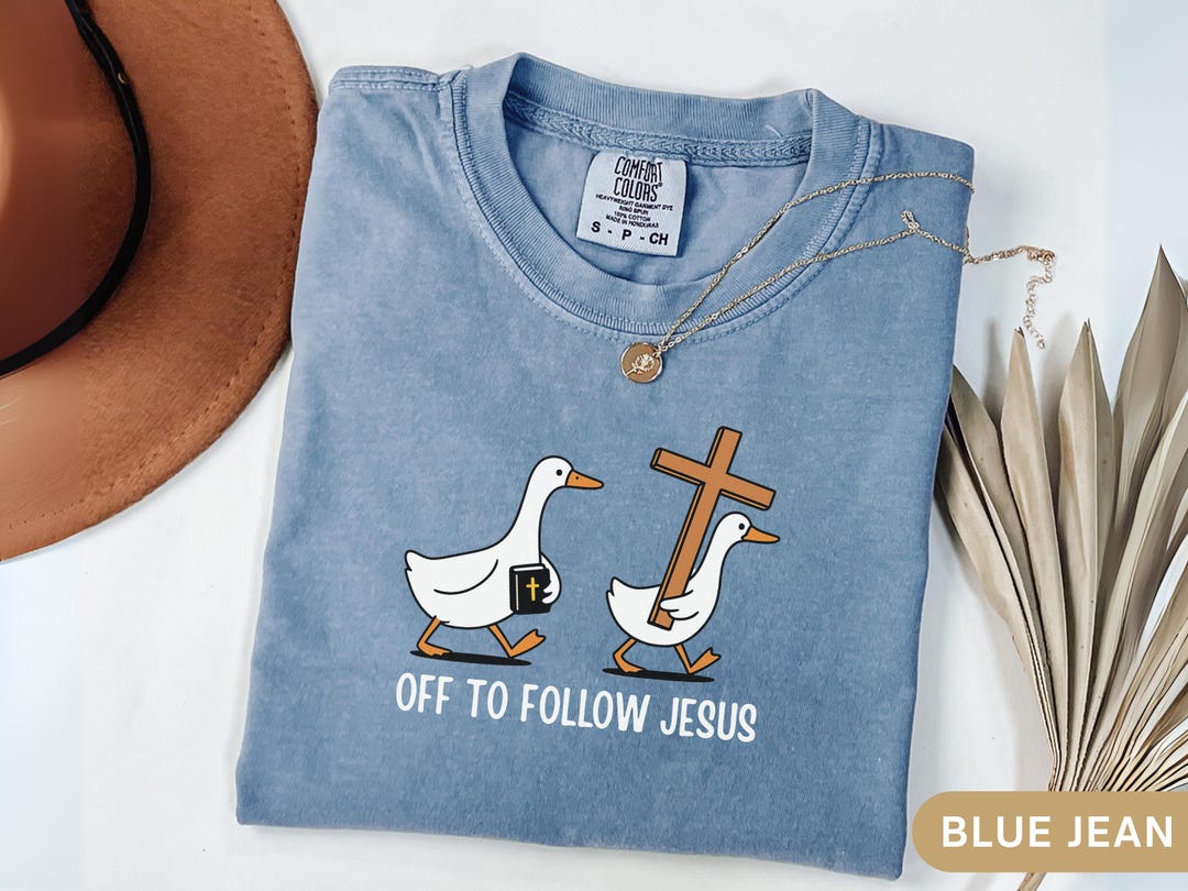 Christianity Shirt Silly Goose Shirt Comfort Colors Funny Christian Tee Jesus Christ Shirt Youth Group Gift Catholic Teen Confirmation Gift