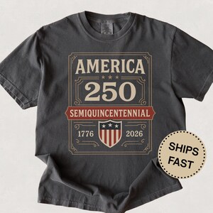 Funny Americas 250 Year Anniversary Comfort Colors USA Shirt