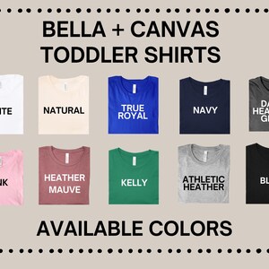 Catholic Shirt Funny, Religious Silly Goose Shirt, Franciscan Comfort Colors Tee, Catholic Gift, Youth Group Shirt, Vatican Flag TShirt image 12