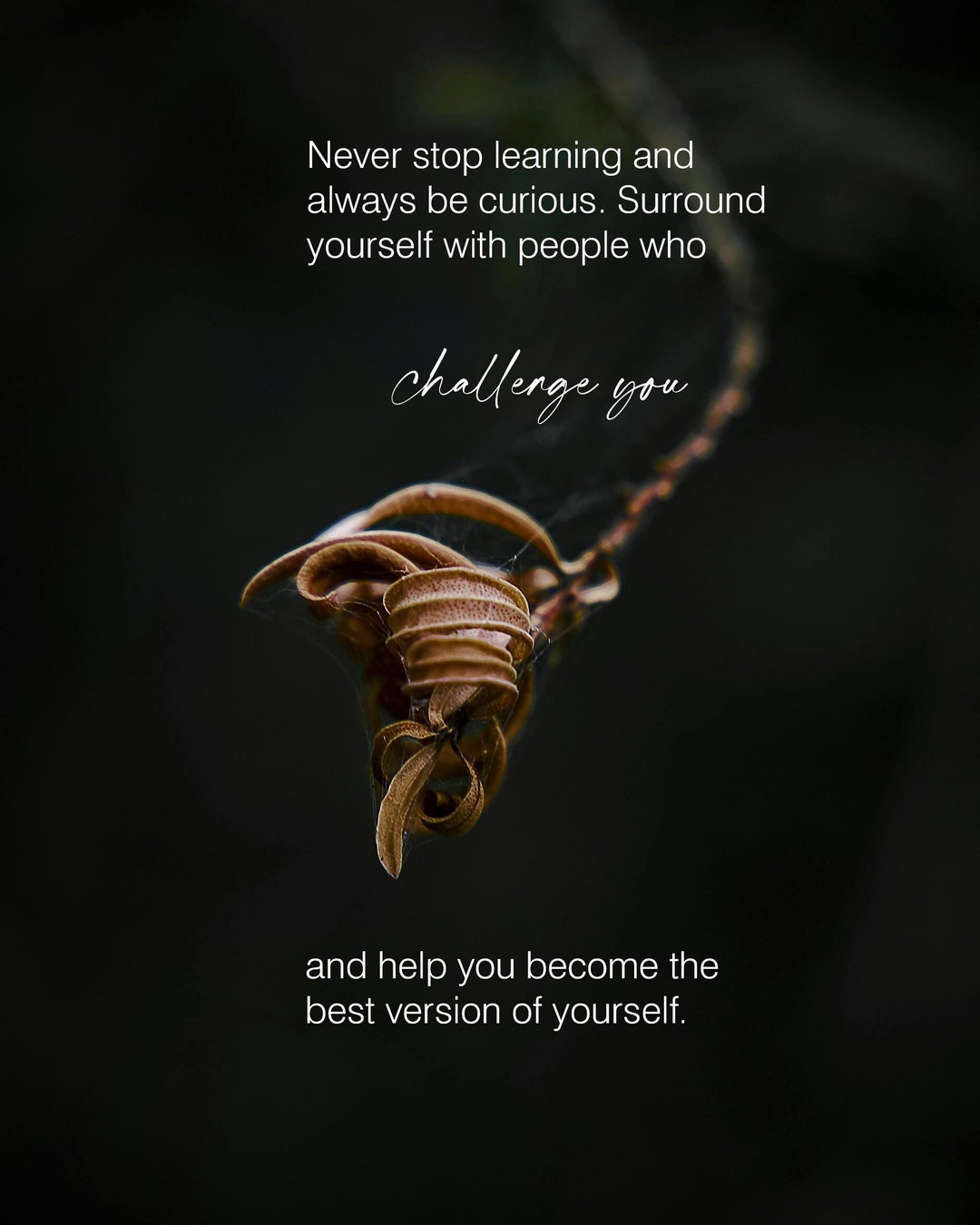 Never Stop Learning" Inspirational Quote Printable | Digital Download ...